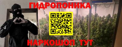 герыч Можга